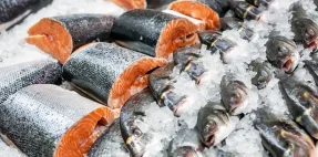 Kendari Exports 98 Tons of Seafood Products to the US Thailand