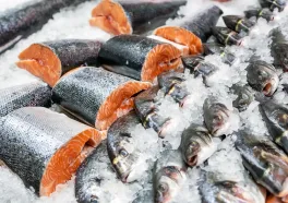 Kendari Exports 98 Tons of Seafood Products to the US Thailand
