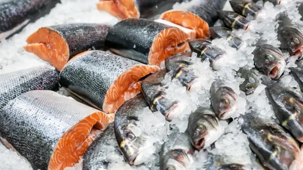 Kendari Exports 98 Tons of Seafood Products to the US Thailand