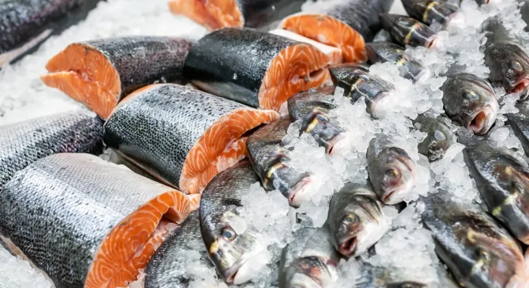 Kendari Exports 98 Tons of Seafood Products to the US, Thailand