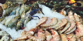 Cara Menjaga Kualitas Frozen Food agar Tetap Segar dan Higienis