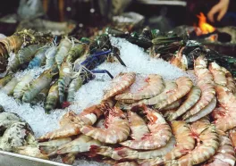Cara Menjaga Kualitas Frozen Food agar Tetap Segar dan Higienis