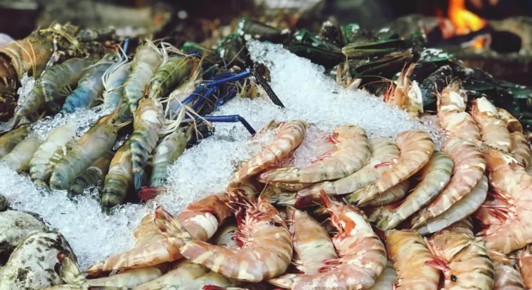 Cara Menjaga Kualitas Frozen Food agar Tetap Segar dan Higienis