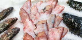 Tren Konsumsi Frozen Food di Indonesia Praktis Aman dan Bergizi