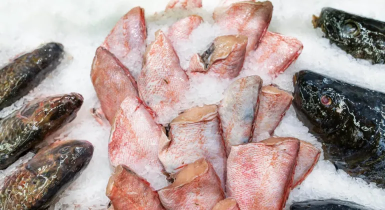 Tren Konsumsi Frozen Food di Indonesia: Praktis, Aman, dan Bergizi