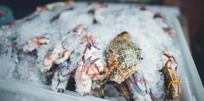 Panduan Memilih Supplier Frozen Food Terpercaya untuk Usaha Anda