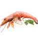 Prawn